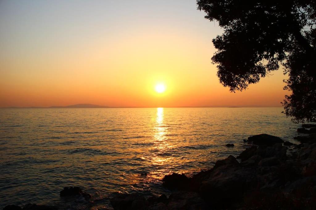 Apartmani Vesna Lun  Esterno foto