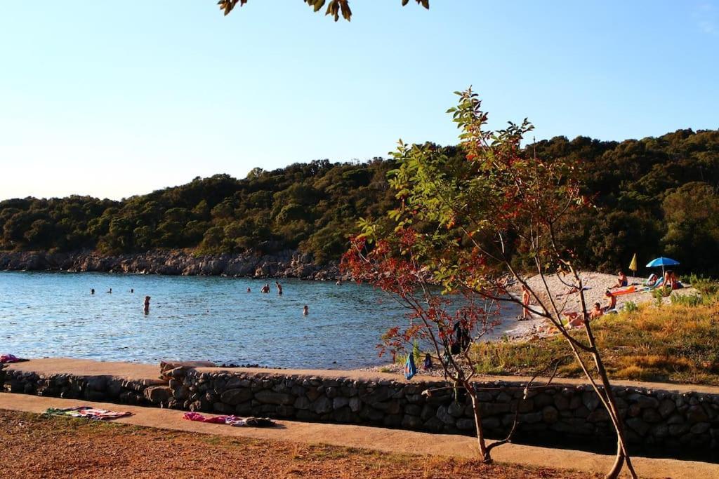 Apartmani Vesna Lun  Esterno foto